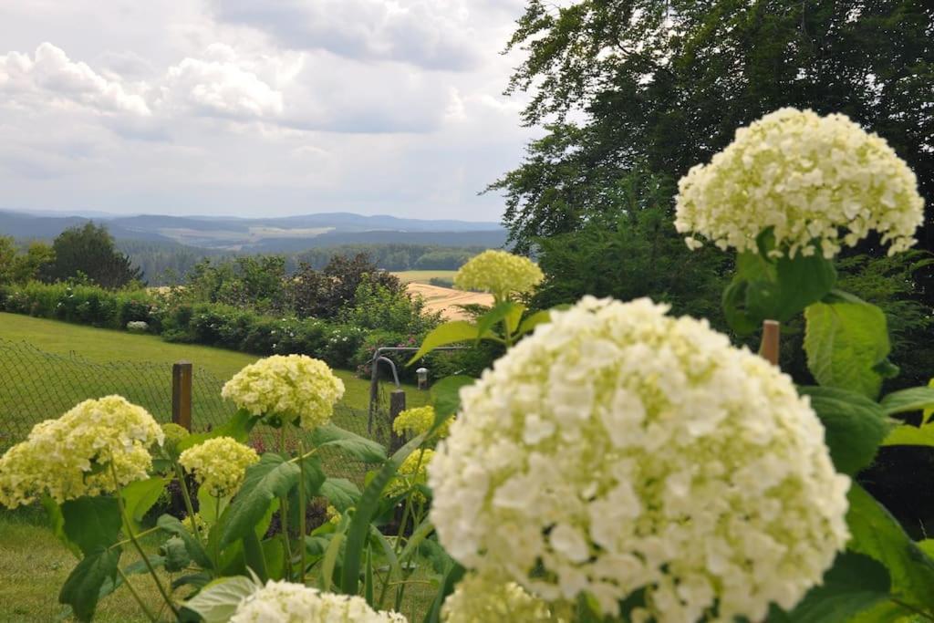Geraeumige 2-Z Wohnung Im Gruenen, Garten, Terrasse, Ruhig, Natur, Phantastischer Blick! Marburg Exterior photo